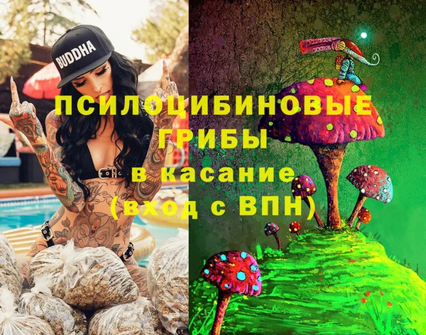 a pvp Кулебаки