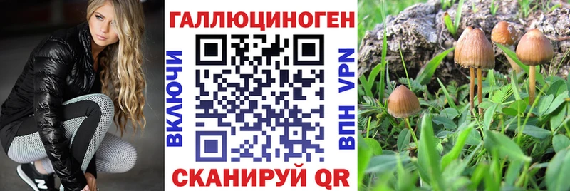 Псилоцибиновые грибы Magic Shrooms  Купить где  Александровск-Сахалинский