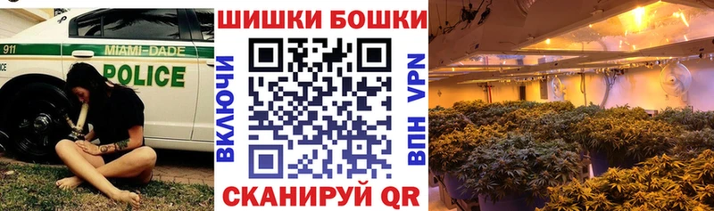 Купить закладки  Александровск-Сахалинский  МАРИХУАНА ГИДРОПОН 